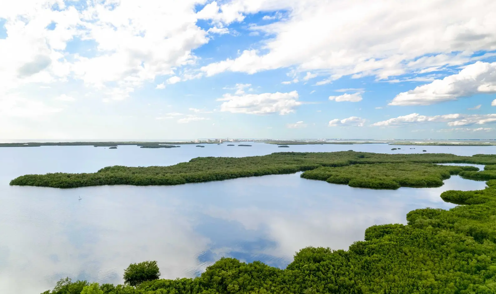 11ee6e461ab969c8a57f6762ca99c4402503c495-1-1 11ee6e461ab969c8a57f6762ca99c4402503c495-1-1