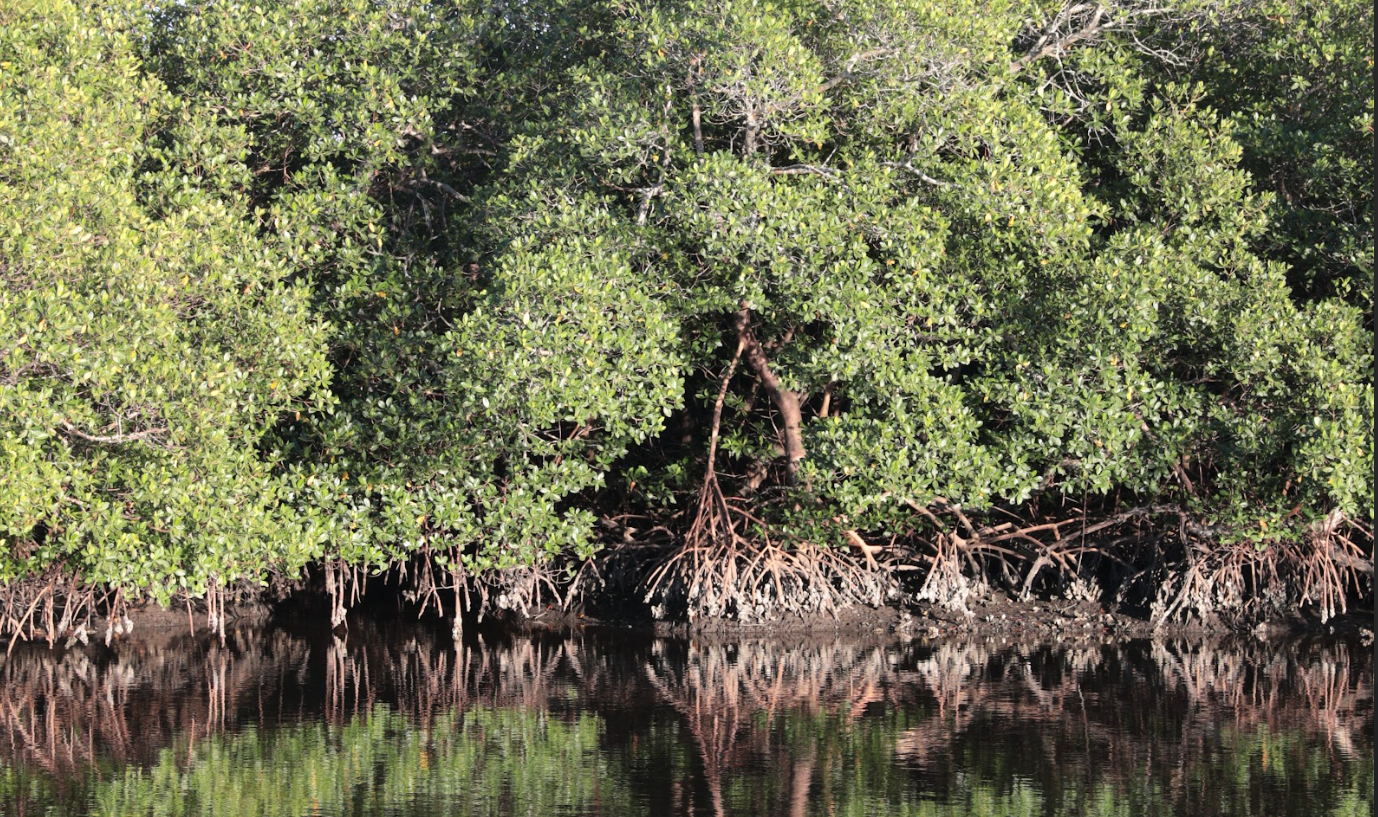 77da6d8d171e332de6e0636bae150207d01a5835-1 77da6d8d171e332de6e0636bae150207d01a5835-1