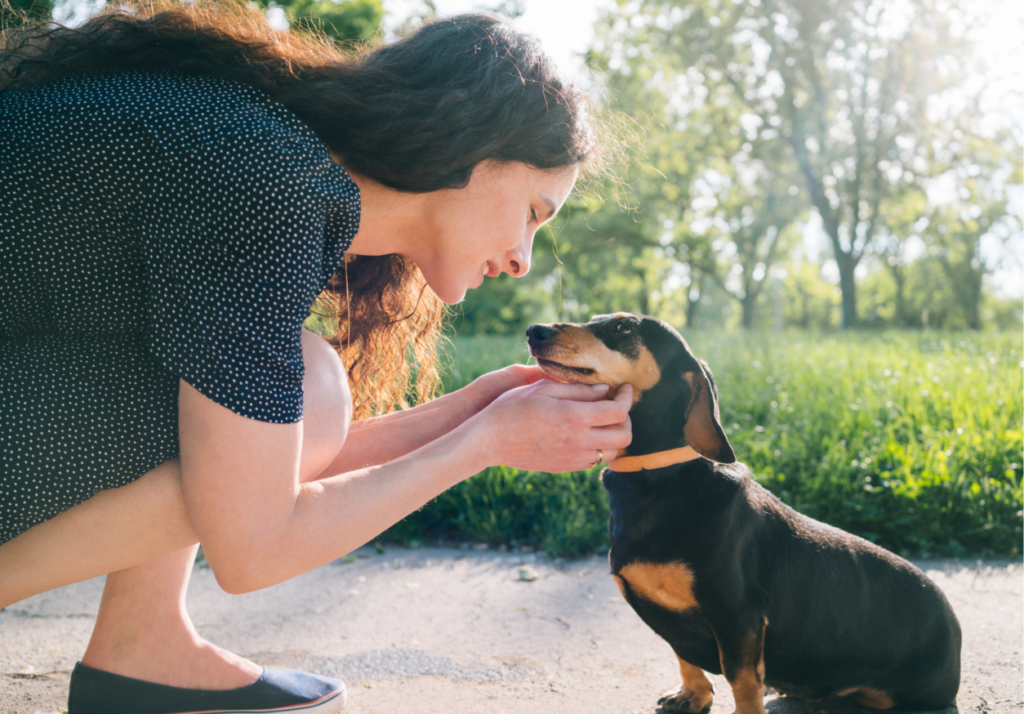 A loving owner and her dog enjoying an active day at the dog park