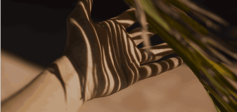 Sunlight and palm shadows on a hand, evoking the coastal feel of The Ritz-Carlton Residences, Estero Bay