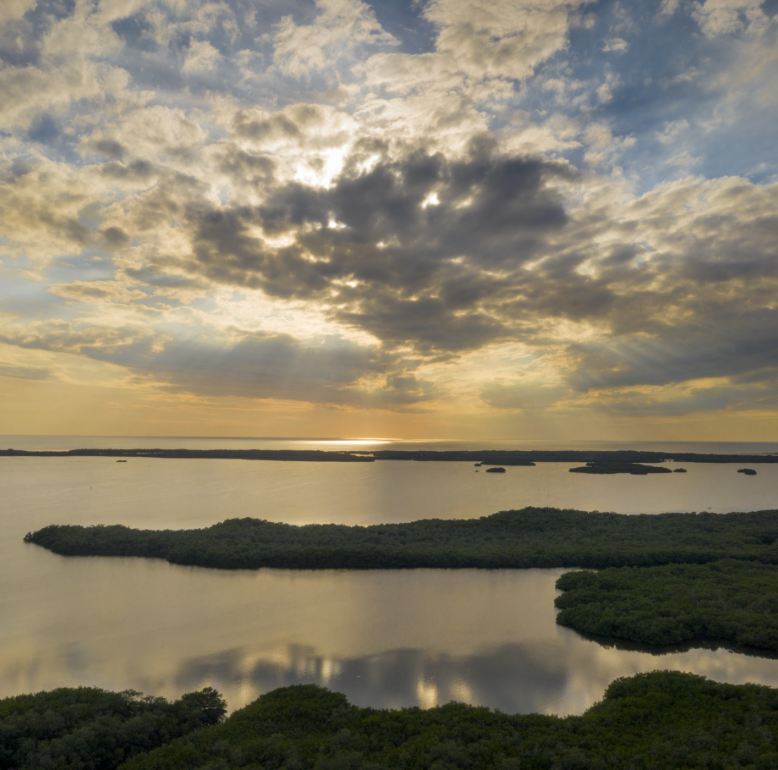 As-the-sun-begins-to-set-over-Estero-Bay_-the-waves-calm-and-the-active-wildlife-says-goodnight_-unt